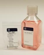 EpiX Medium